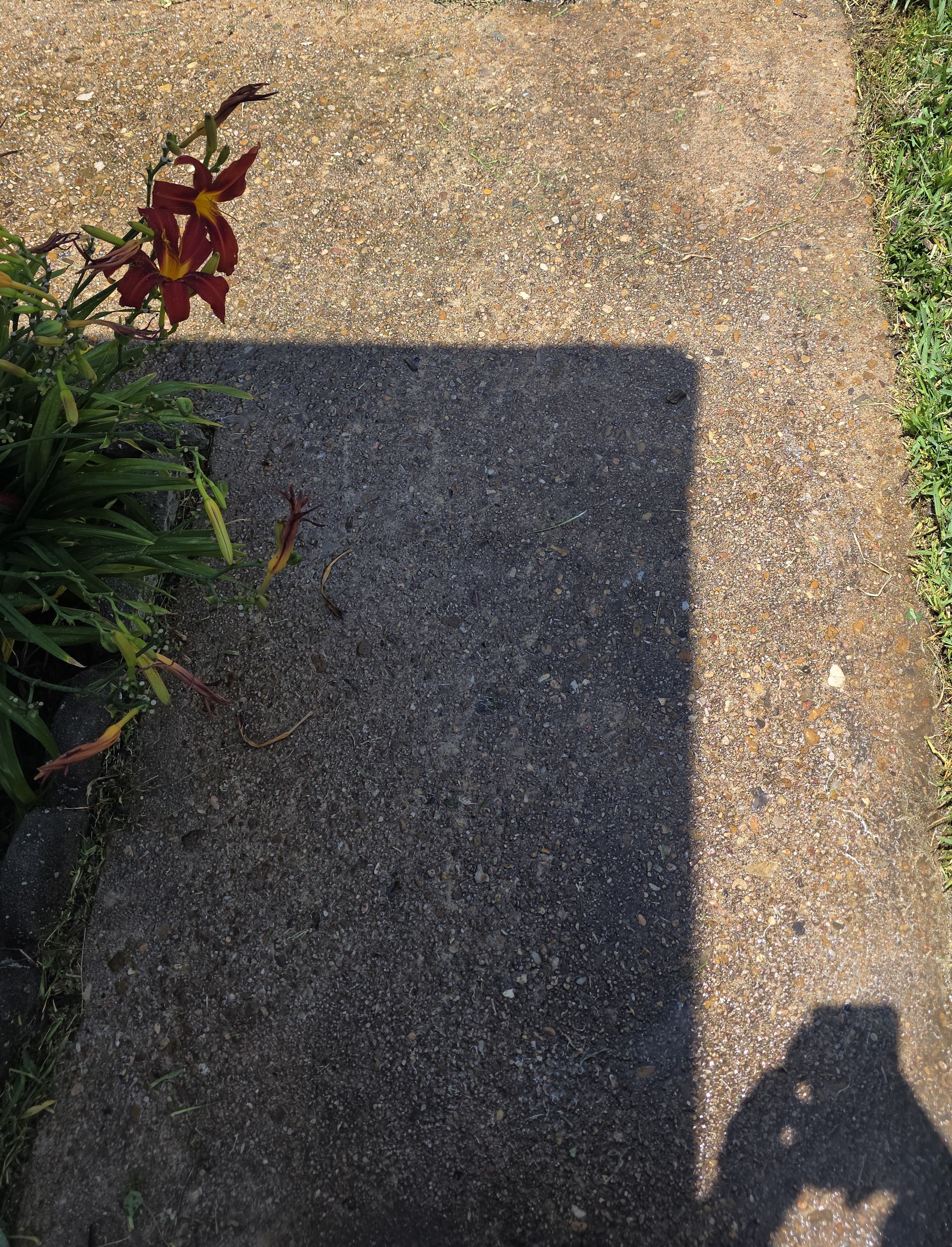 Concrete before pressure washing